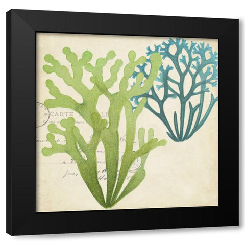 Seaweed Overlay II Black Modern Wood Framed Art Print with Double Matting by Studio W