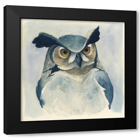 Midnight Aves I Black Modern Wood Framed Art Print with Double Matting by Popp, Grace