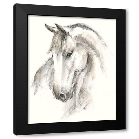 Watercolor Equine Study II Black Modern Wood Framed Art Print with Double Matting by Harper, Ethan