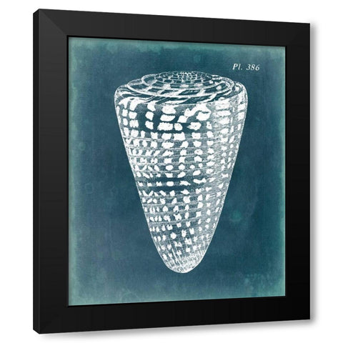 Azure Shell I Black Modern Wood Framed Art Print with Double Matting by Vision Studio