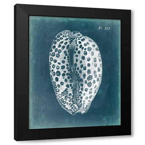 Azure Shell II Black Modern Wood Framed Art Print with Double Matting by Vision Studio