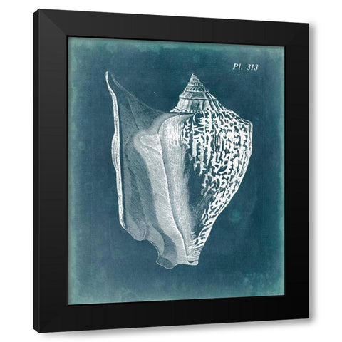 Azure Shell III Black Modern Wood Framed Art Print with Double Matting by Vision Studio