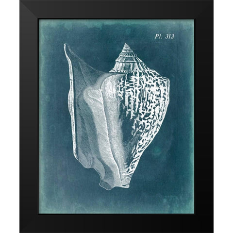 Azure Shell III Black Modern Wood Framed Art Print by Vision Studio