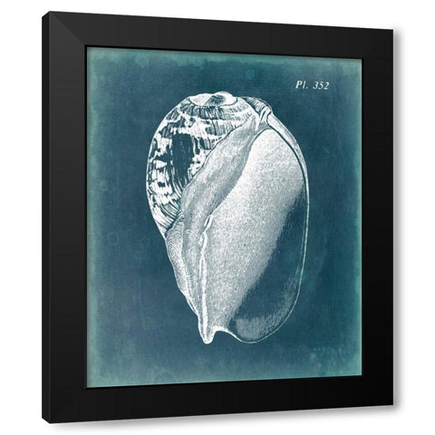 Azure Shell IV Black Modern Wood Framed Art Print by Vision Studio
