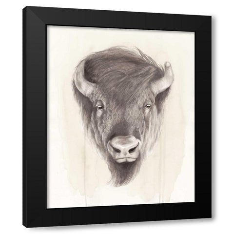 American Wilderness II Black Modern Wood Framed Art Print by Popp, Grace