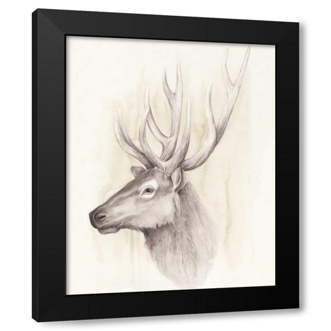 American Wilderness III Black Modern Wood Framed Art Print with Double Matting by Popp, Grace
