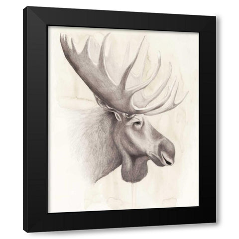 American Wilderness IV Black Modern Wood Framed Art Print with Double Matting by Popp, Grace