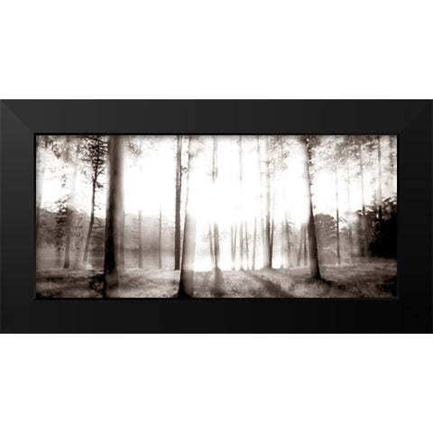 Sunrise in the Pines Black Modern Wood Framed Art Print by McLoughlin, James