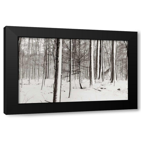 A Snowy Walk I Black Modern Wood Framed Art Print by McLoughlin, James