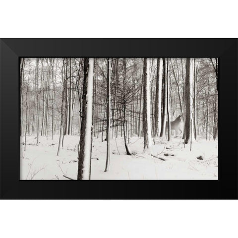 A Snowy Walk I Black Modern Wood Framed Art Print by McLoughlin, James