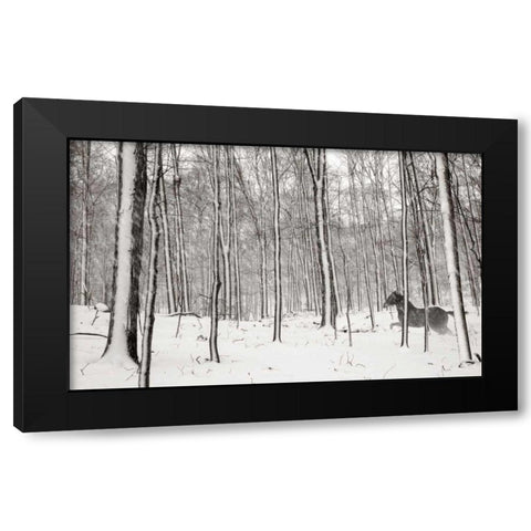A Snowy Walk II Black Modern Wood Framed Art Print with Double Matting by McLoughlin, James