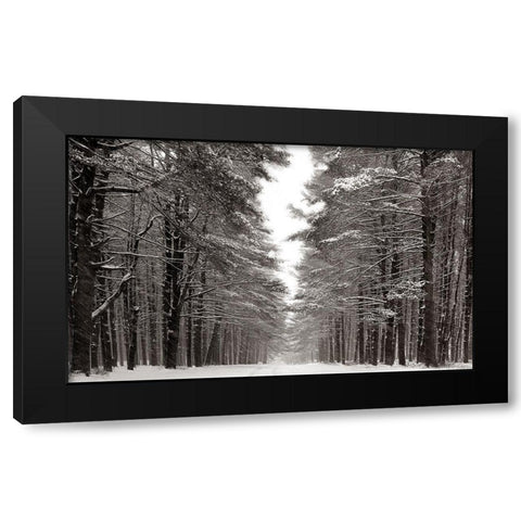A Snowy Walk IV Black Modern Wood Framed Art Print by McLoughlin, James
