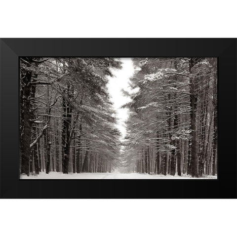 A Snowy Walk IV Black Modern Wood Framed Art Print by McLoughlin, James