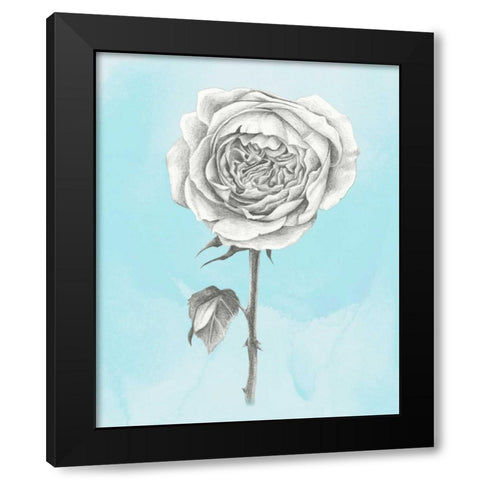 Graphite Rose I Black Modern Wood Framed Art Print with Double Matting by Popp, Grace