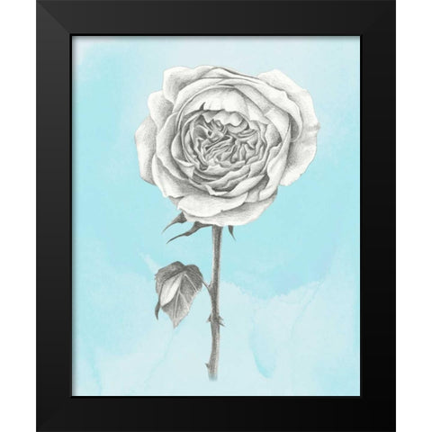 Graphite Rose I Black Modern Wood Framed Art Print by Popp, Grace
