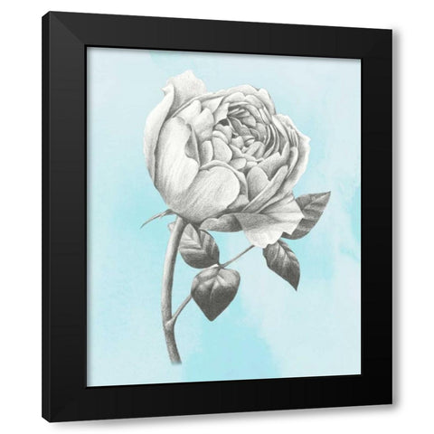 Graphite Rose II Black Modern Wood Framed Art Print by Popp, Grace