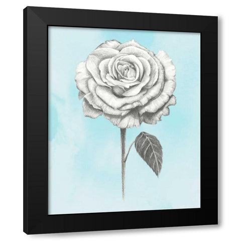 Graphite Rose III Black Modern Wood Framed Art Print by Popp, Grace
