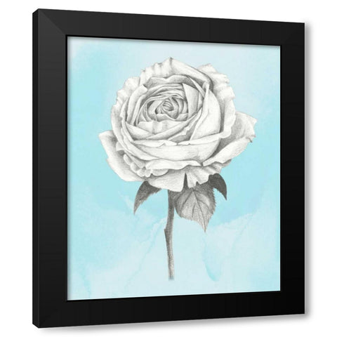 Graphite Rose IV Black Modern Wood Framed Art Print by Popp, Grace