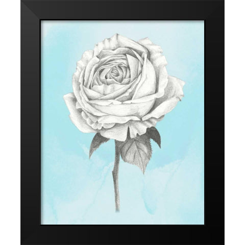 Graphite Rose IV Black Modern Wood Framed Art Print by Popp, Grace
