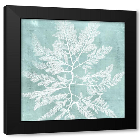 Seaweed on Aqua I Black Modern Wood Framed Art Print with Double Matting by Vision Studio