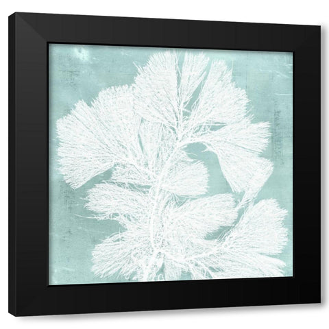Seaweed on Aqua IV Black Modern Wood Framed Art Print with Double Matting by Vision Studio