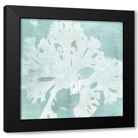Seaweed on Aqua V Black Modern Wood Framed Art Print with Double Matting by Vision Studio