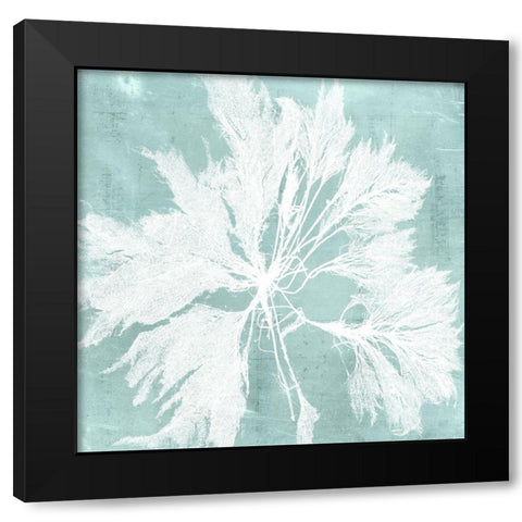 Seaweed on Aqua VI Black Modern Wood Framed Art Print with Double Matting by Vision Studio