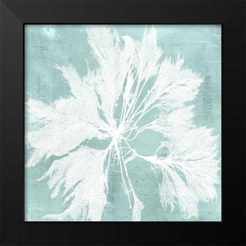 Seaweed on Aqua VI Black Modern Wood Framed Art Print by Vision Studio