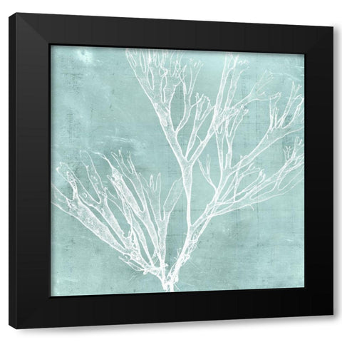 Seaweed on Aqua VII Black Modern Wood Framed Art Print with Double Matting by Vision Studio