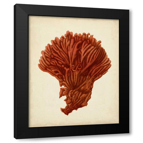 Antique Red Coral I Black Modern Wood Framed Art Print by Vision Studio