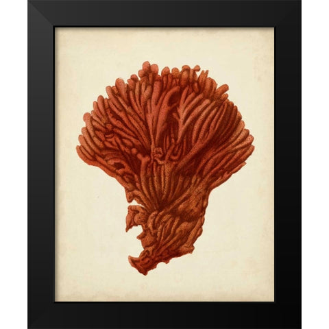 Antique Red Coral I Black Modern Wood Framed Art Print by Vision Studio