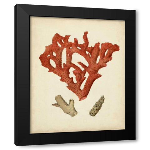 Antique Red Coral II Black Modern Wood Framed Art Print by Vision Studio