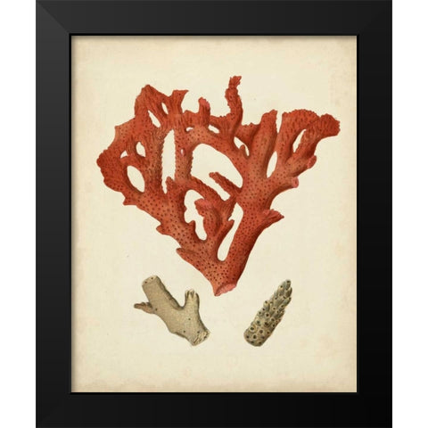 Antique Red Coral II Black Modern Wood Framed Art Print by Vision Studio