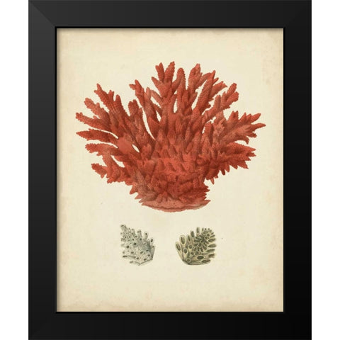Antique Red Coral III Black Modern Wood Framed Art Print by Vision Studio