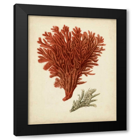 Antique Red Coral V Black Modern Wood Framed Art Print with Double Matting by Vision Studio