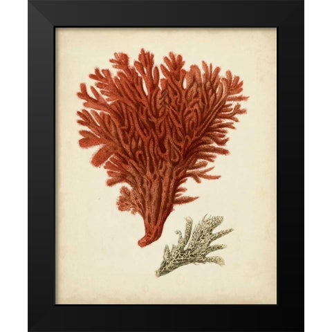 Antique Red Coral V Black Modern Wood Framed Art Print by Vision Studio