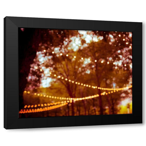 Summer Trees I Black Modern Wood Framed Art Print with Double Matting by Quintero, Sonja