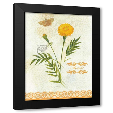 Flower Study on Lace XI Black Modern Wood Framed Art Print with Double Matting by Della-Piana, Elissa