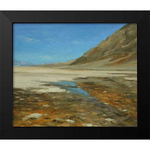 Badwater Basin, Death Valley Black Modern Wood Framed Art Print by Larivey, Chuck