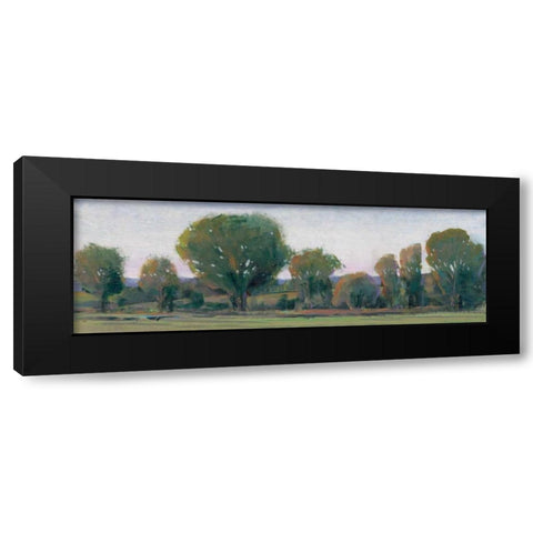 Panoramic Treeline II Black Modern Wood Framed Art Print with Double Matting by OToole, Tim