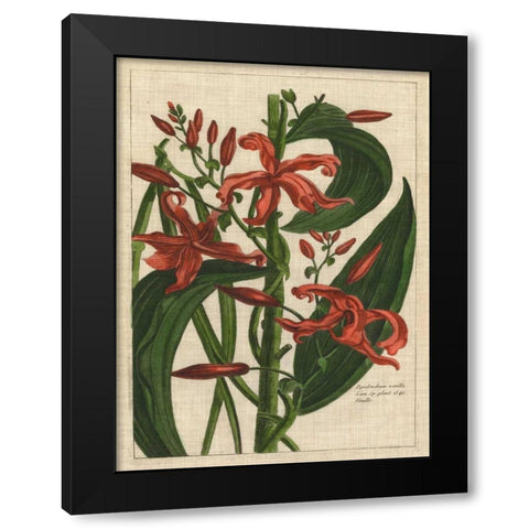 Botanical Study on Linen III Black Modern Wood Framed Art Print by Vision Studio