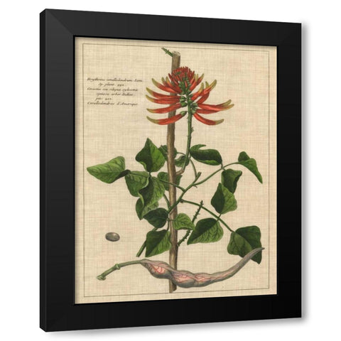 Botanical Study on Linen IV Black Modern Wood Framed Art Print with Double Matting by Vision Studio