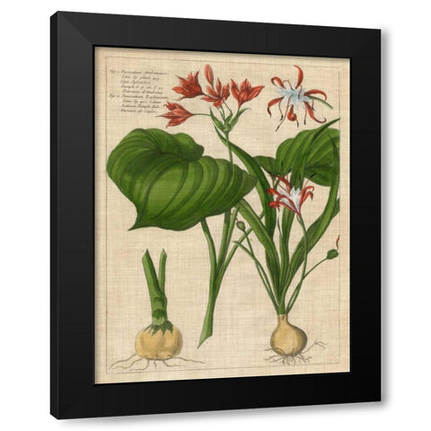 Botanical Study on Linen V Black Modern Wood Framed Art Print with Double Matting by Vision Studio