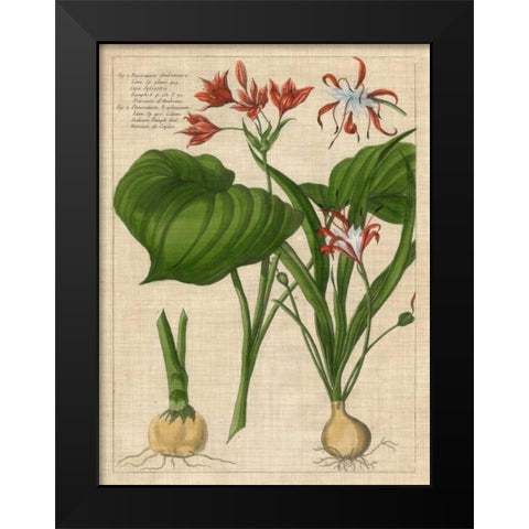 Botanical Study on Linen V Black Modern Wood Framed Art Print by Vision Studio