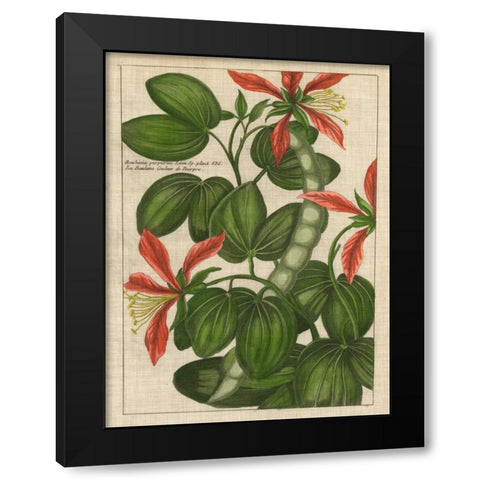 Botanical Study on Linen VI Black Modern Wood Framed Art Print with Double Matting by Vision Studio