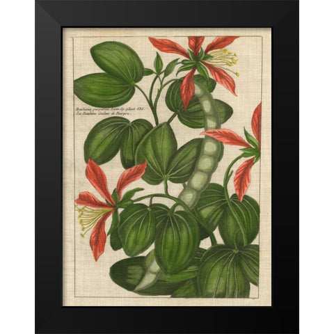 Botanical Study on Linen VI Black Modern Wood Framed Art Print by Vision Studio