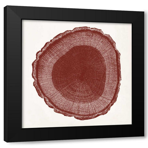 Tree Ring I Black Modern Wood Framed Art Print with Double Matting by Vision Studio