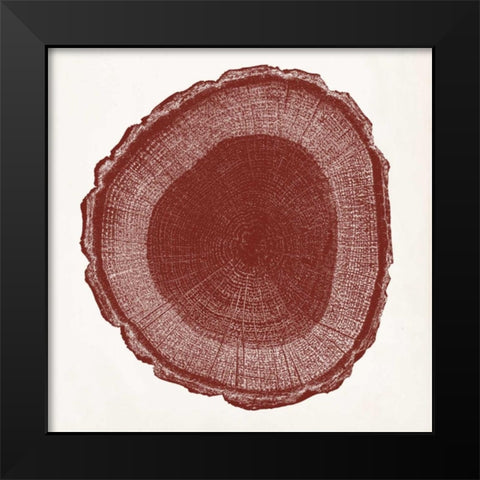 Tree Ring I Black Modern Wood Framed Art Print by Vision Studio