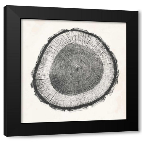 Tree Ring II Black Modern Wood Framed Art Print with Double Matting by Vision Studio