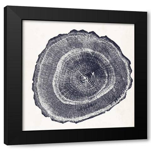 Tree Ring III Black Modern Wood Framed Art Print with Double Matting by Vision Studio